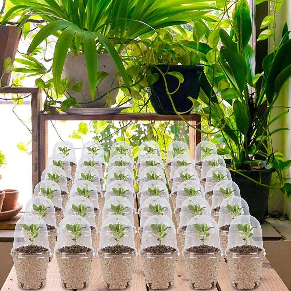 Lot de 30 pots de tourbe biodégradables - Avec dôme d'humidité - Living123 - Image 6