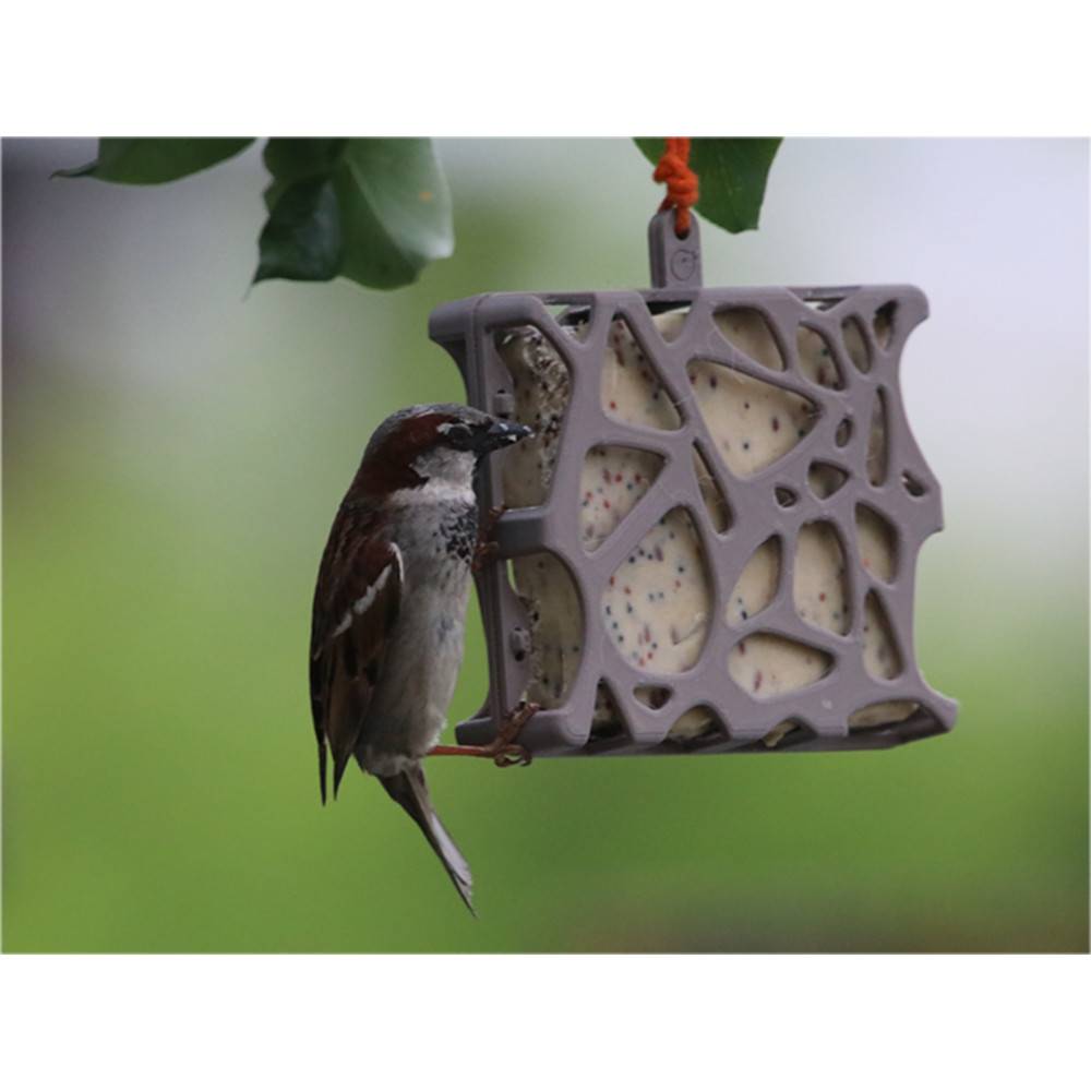 Mangeoire Anna recyclé 13 x 15 cm,  support à bloc de graisse pour oiseaux - Imagen 3
