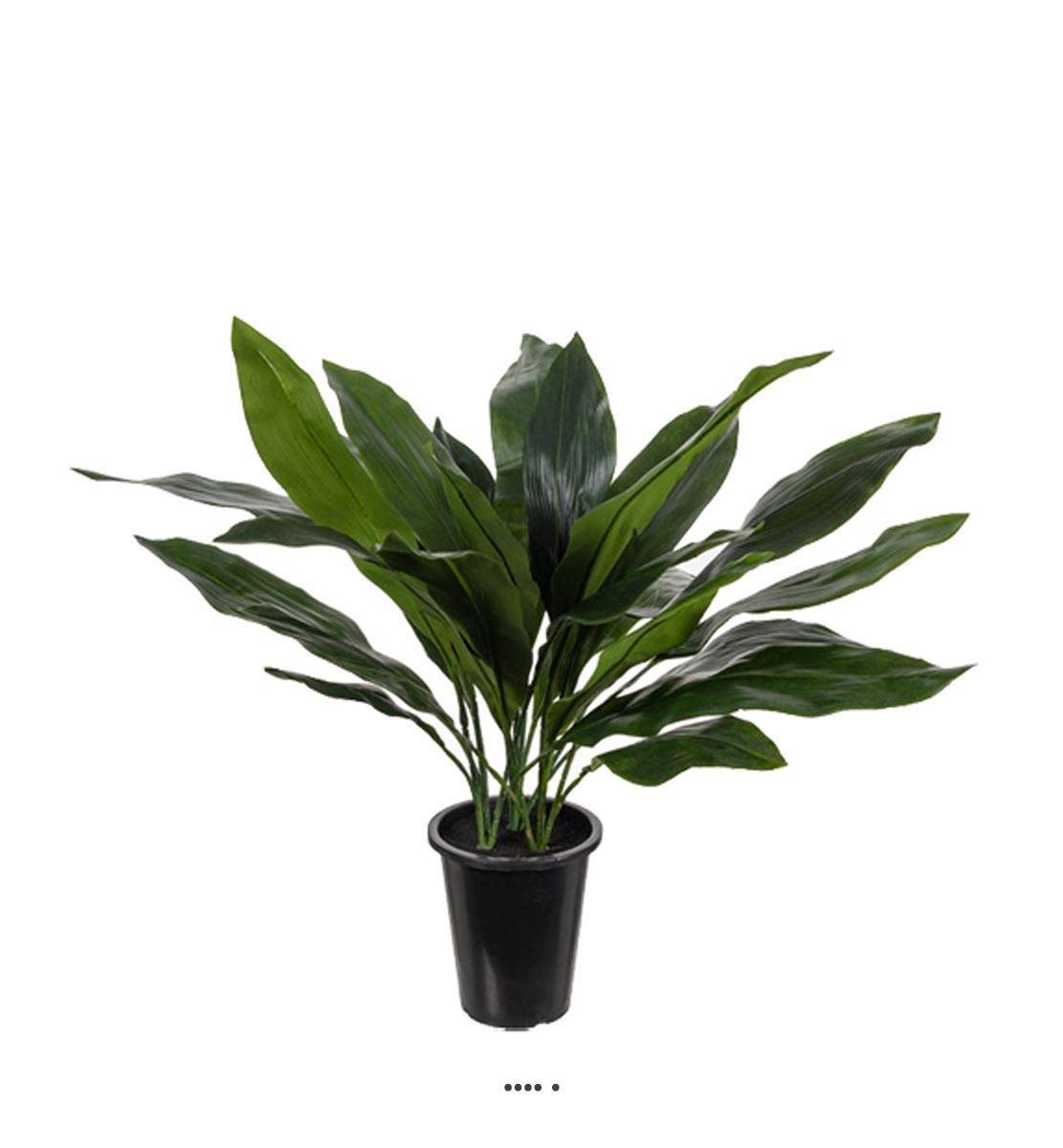 Artificielles - Aspidistra artificiel en pot, feuillage dense, H 75 cm, D 71 cm - Imagen 1