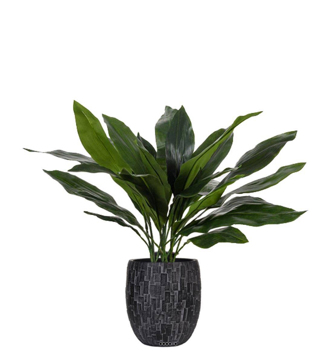 Artificielles - Aspidistra artificiel en pot, feuillage dense, H 75 cm, D 71 cm - Imagen 2