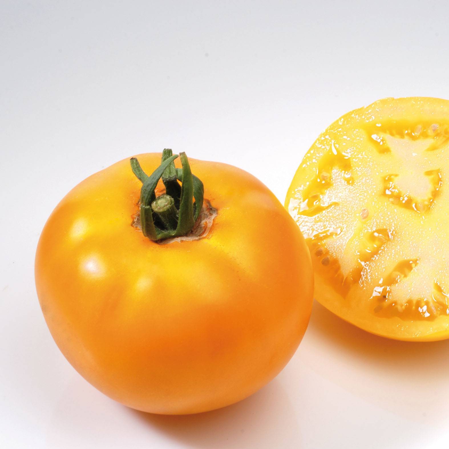 Tomate Lemon Boy F1 jaune en plants Mini-motte Ø 3/4 cm, Livré en hauteur de 5 à 10 cm (par 5)