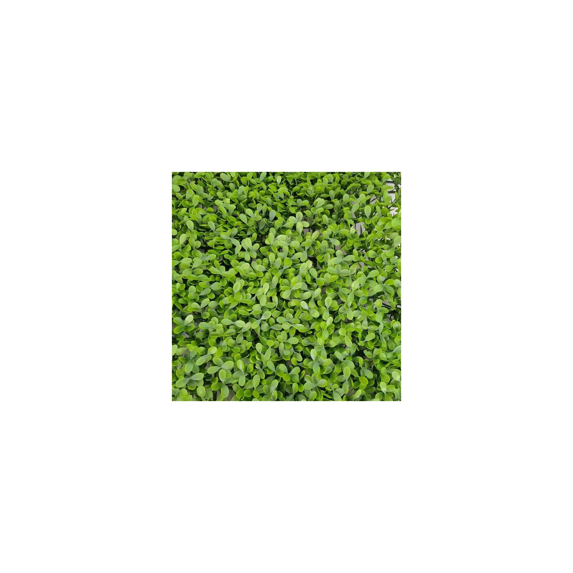 Sans Marque - Mur végétal artificiel - Modèle vert - Dimensions : 50 x 50 cm - Imagen 3