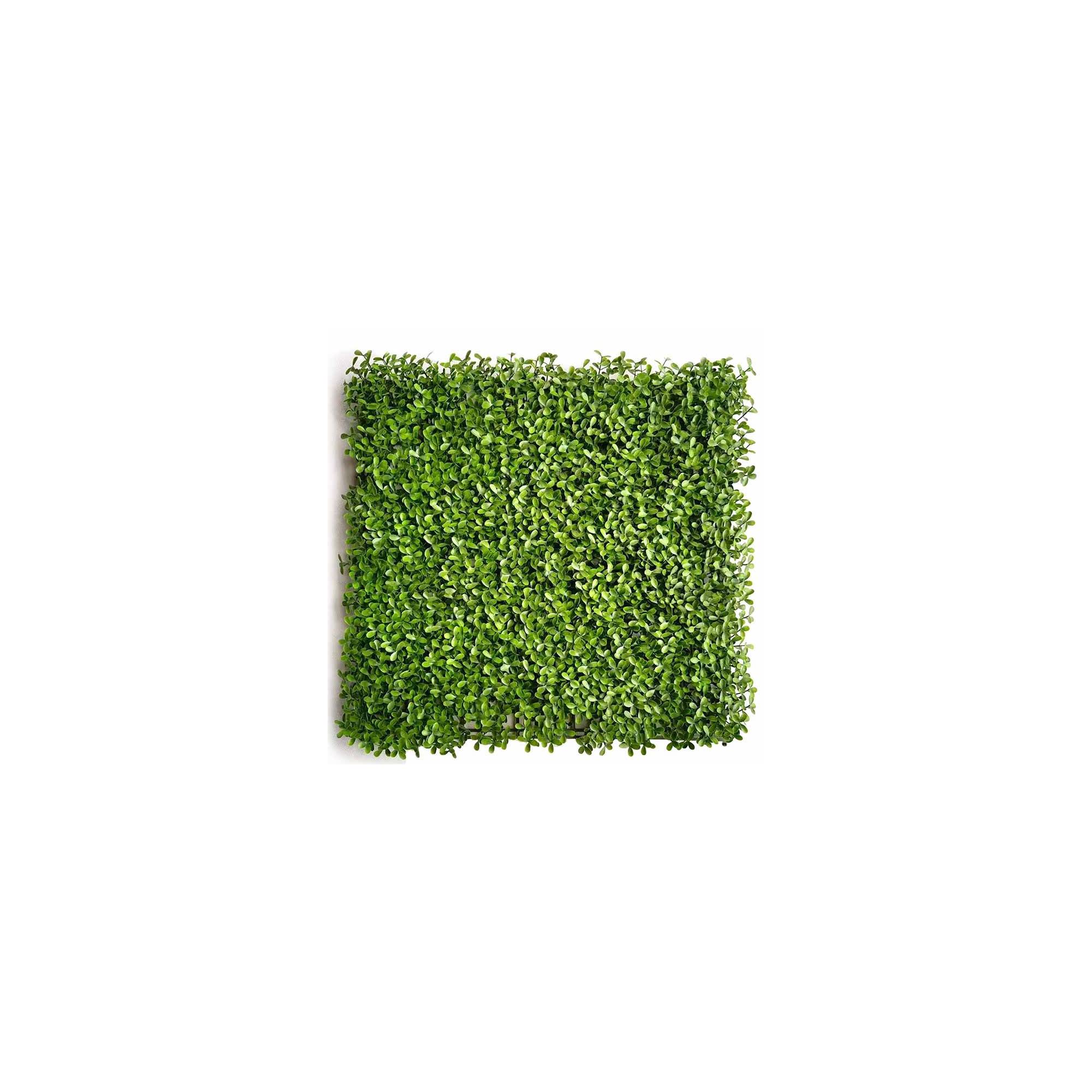 Sans Marque - Mur végétal artificiel - Modèle vert - Dimensions : 50 x 50 cm - Imagen 1