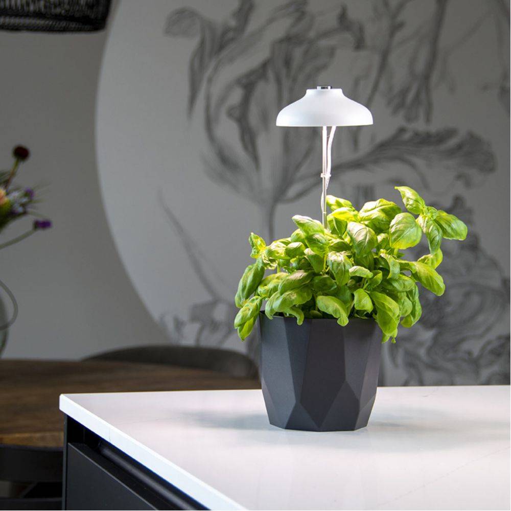 Esschert Design - Lampe de croissance pour plantes ampoule led - Imagen 2