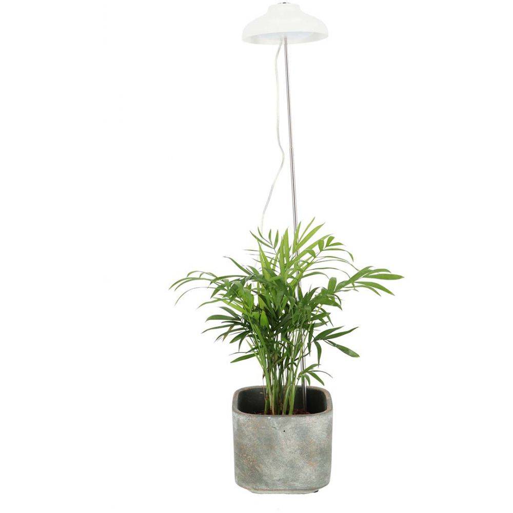 Esschert Design - Lampe de croissance pour plantes ampoule led - Imagen 4