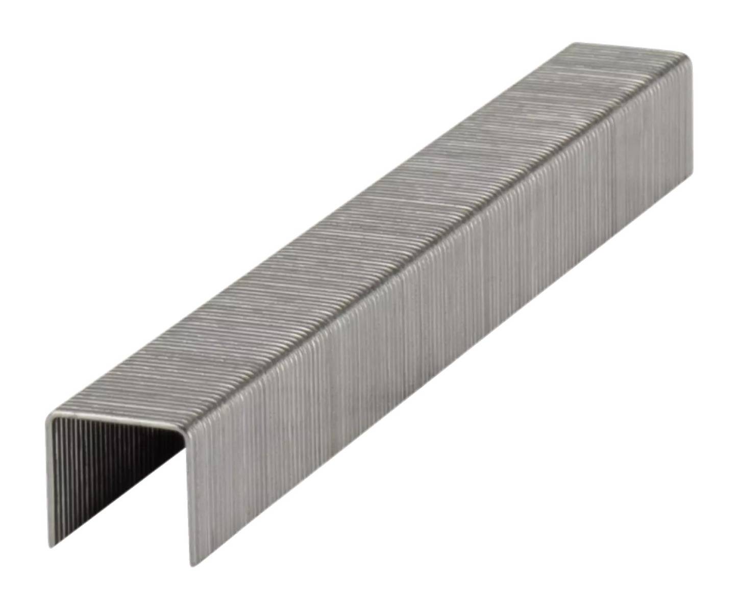 Makita - Agrafes pour agrafeuses à batterie - 10 mm (2500 pcs) galva - MAKITA - F-81521