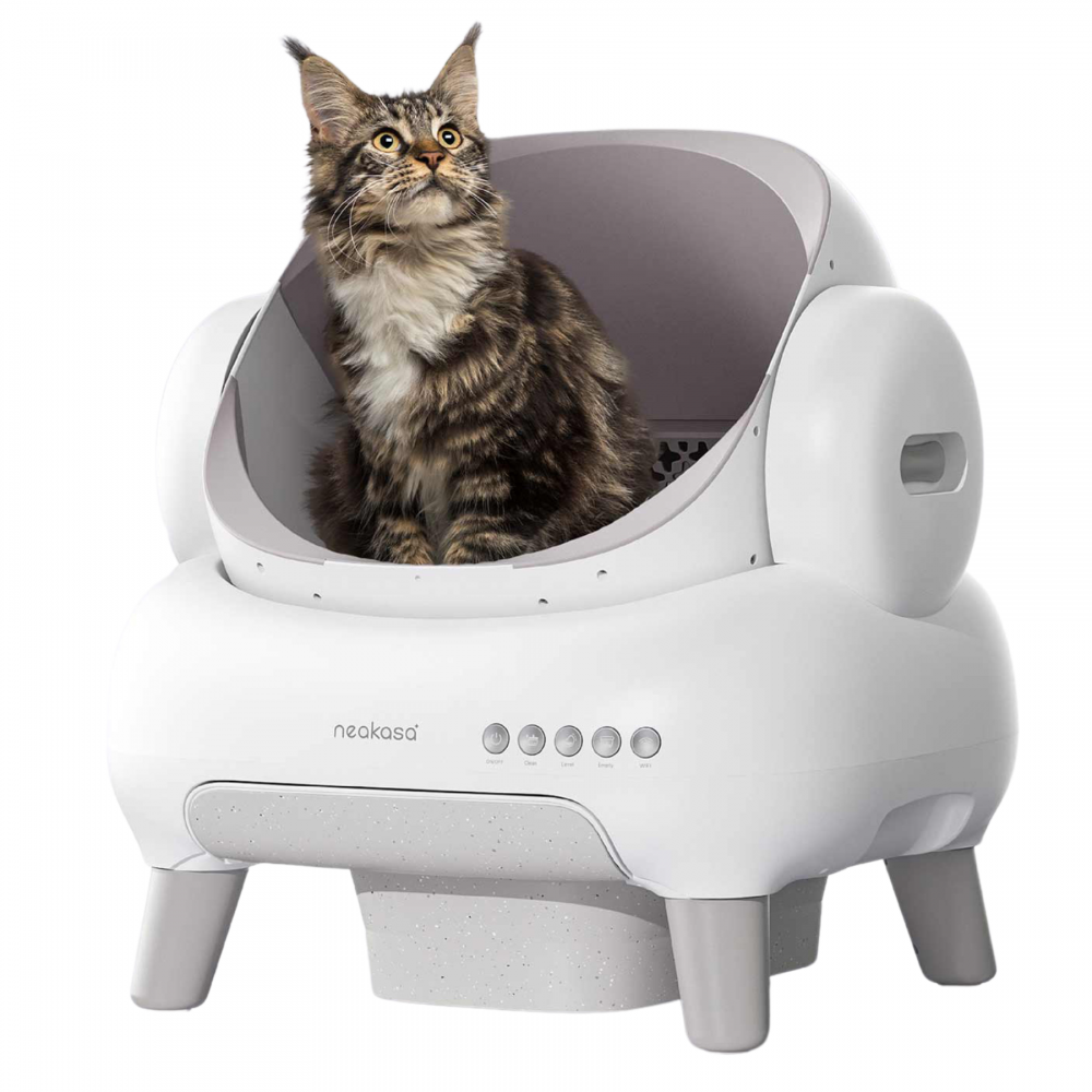 NEAKASA Litière automatique pour grands chats - Grande ouverture - Blanc NEAKASA - Image 2