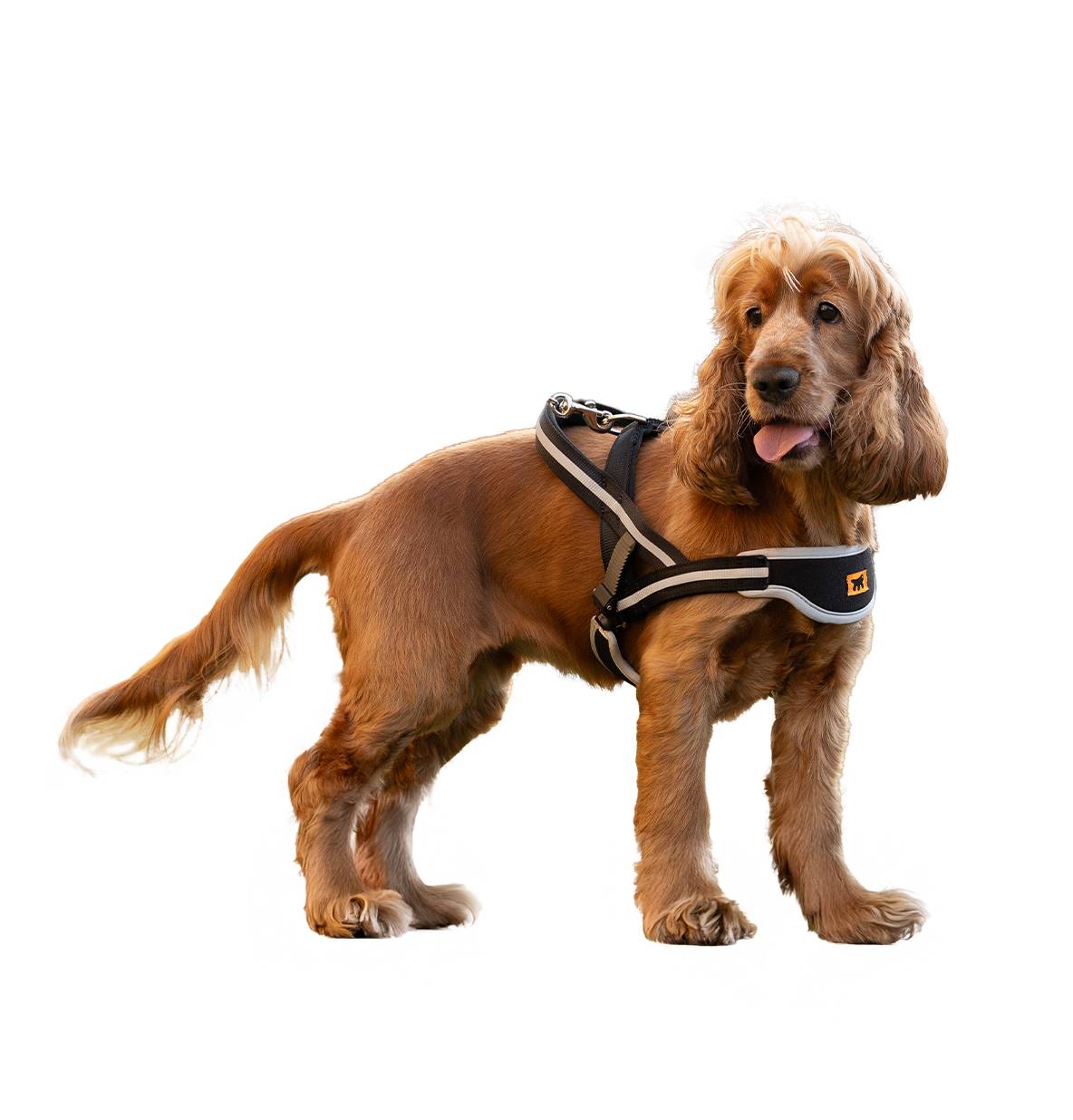 Ferplast - Ferplast Harnais Chien de taille moyenne ERGOCOMFORT NORDIC, Harnais pour chien rembourré, Réfléchissant, Facile à porter et à régler, Dégagement - Imagen 4