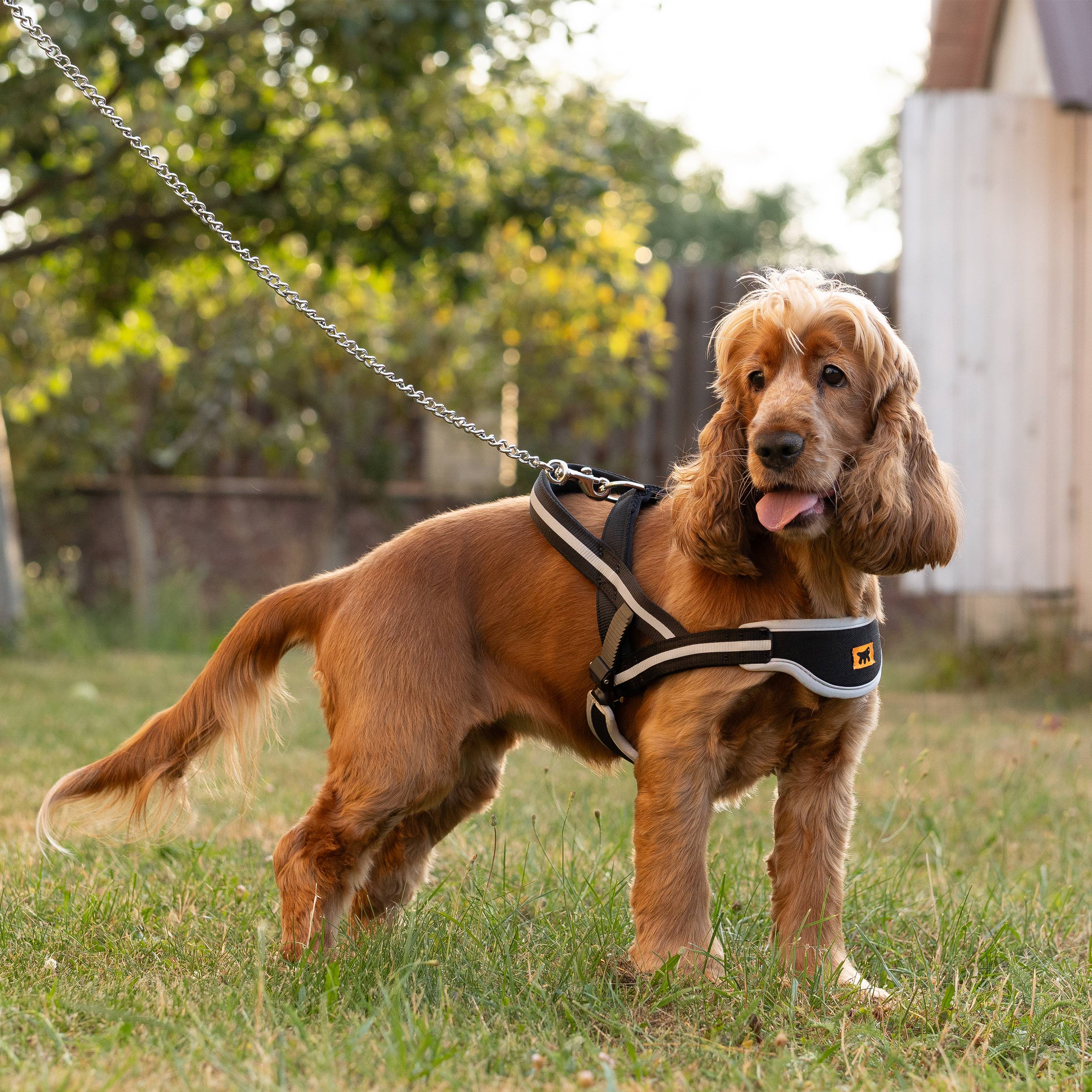 Ferplast - Ferplast Harnais Chien de taille moyenne ERGOCOMFORT NORDIC, Harnais pour chien rembourré, Réfléchissant, Facile à porter et à régler, Dégagement - Imagen 3