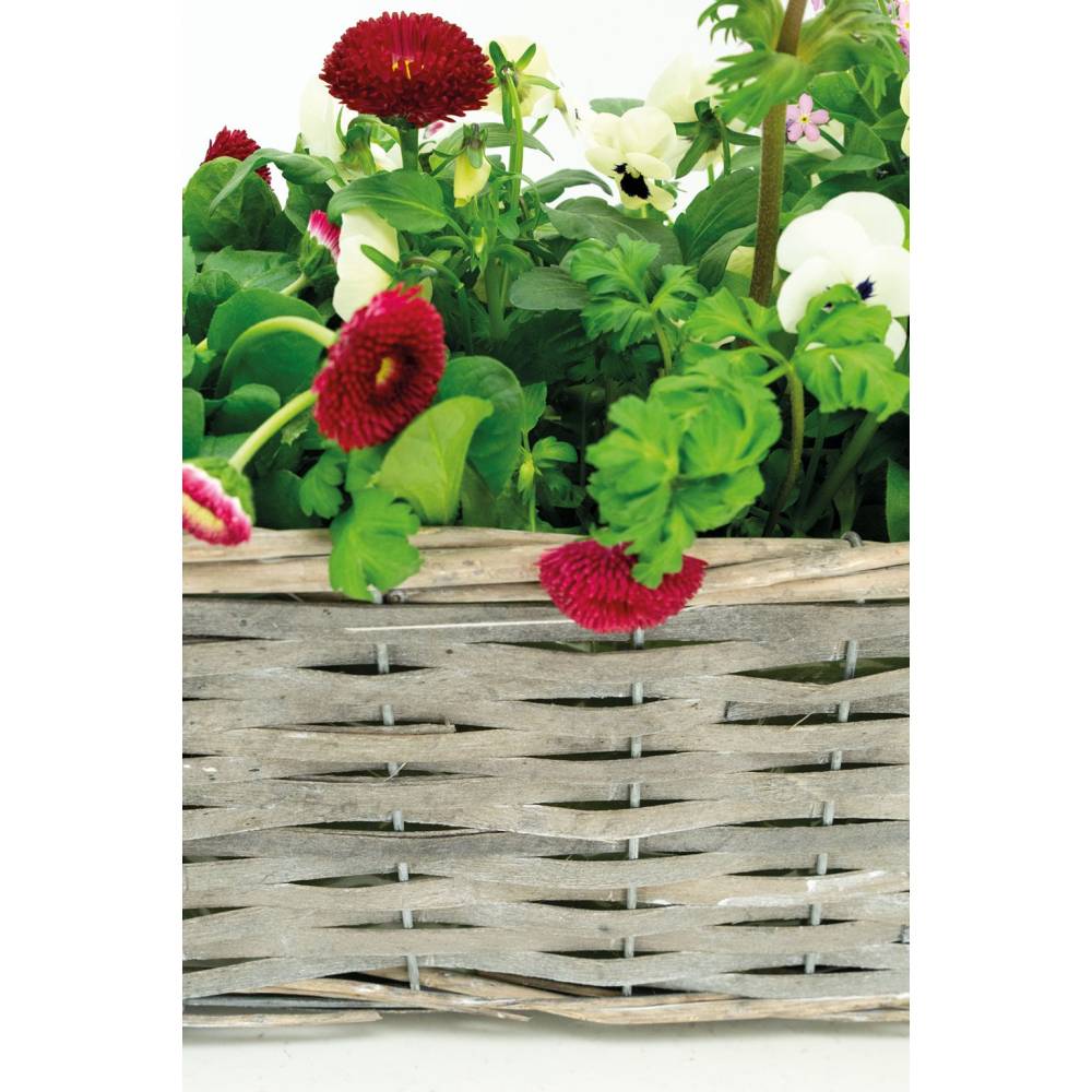Aubry Gaspard - Jardinière en osier et bois 50 x 16 x 15 cm - Imagen 2