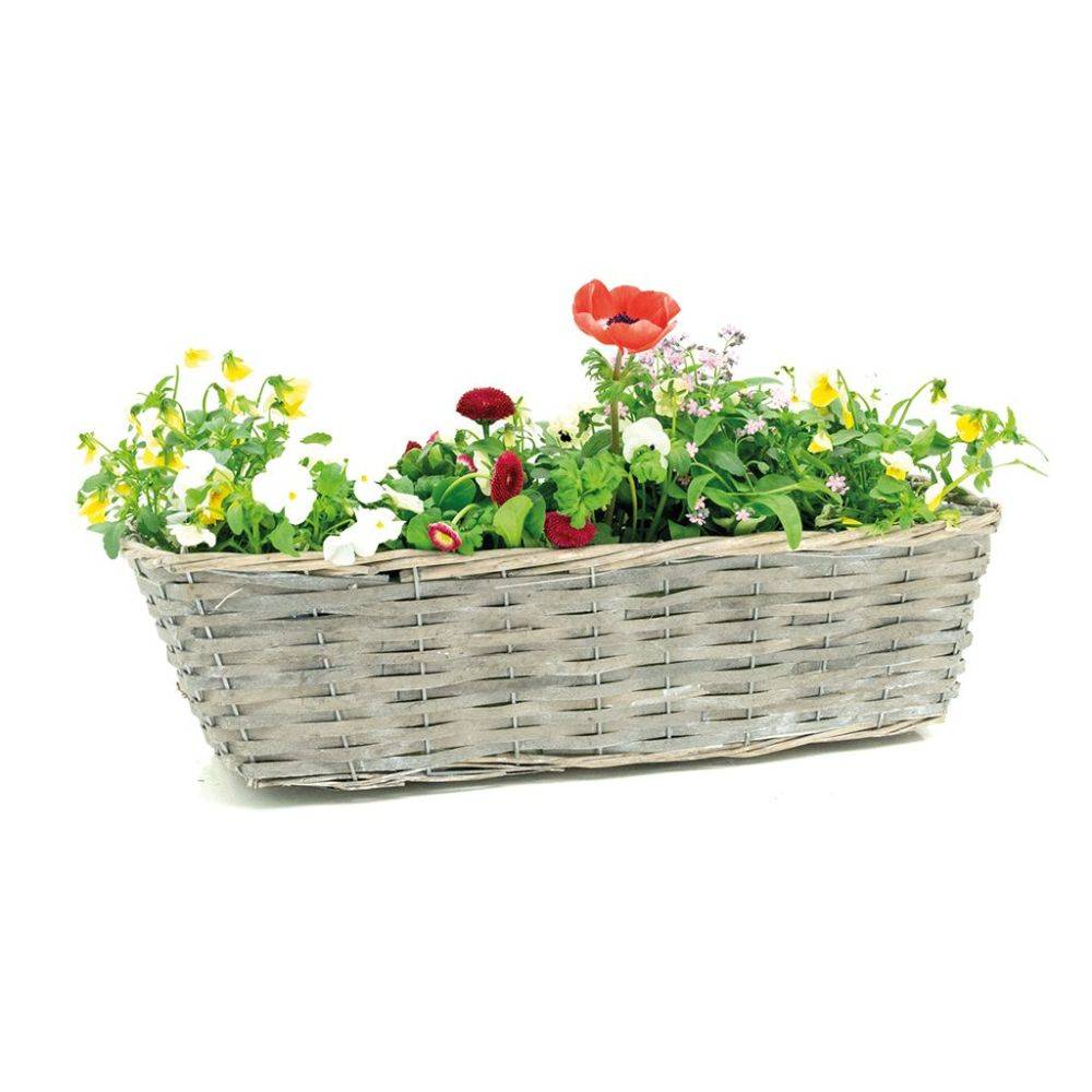 Aubry Gaspard - Jardinière en osier et bois 50 x 16 x 15 cm - Imagen 4