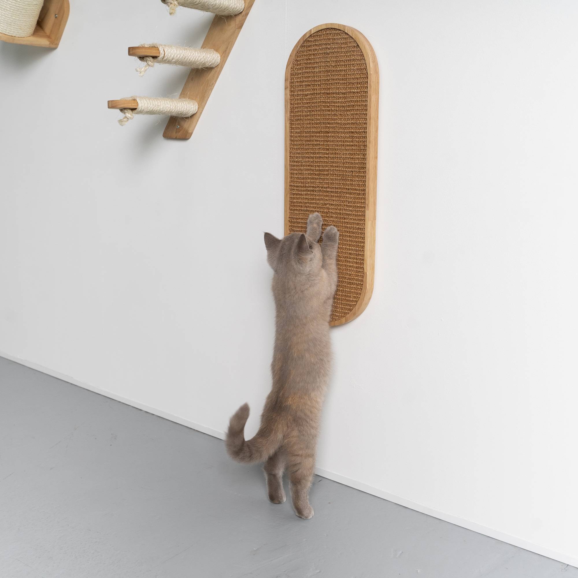 Rhr Concepts Bv - Mur d’escalade pour chat - Tableau mural à gratter de Luxe (hévéa kaki) - RHR Concepts BV - Imagen 2