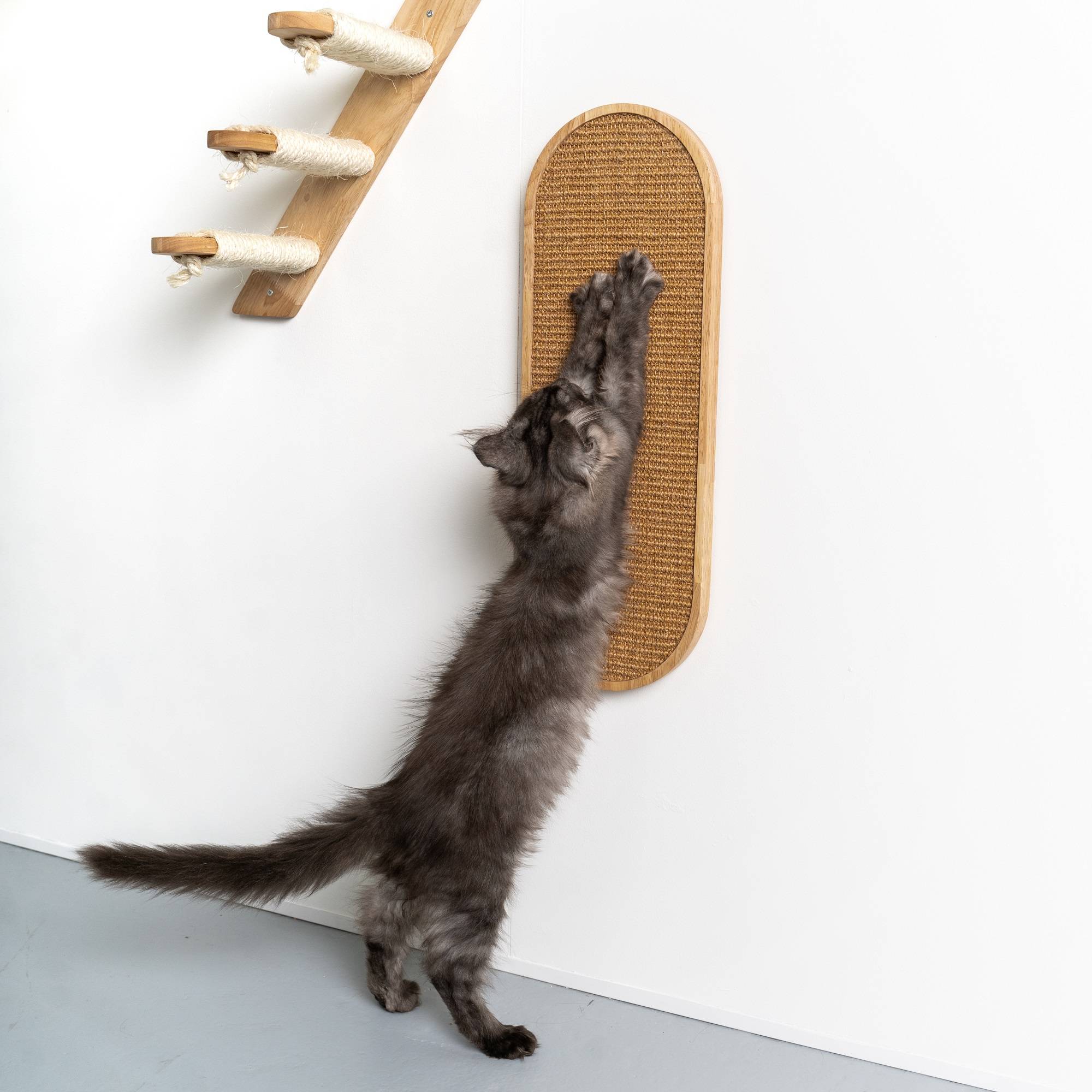 Rhr Concepts Bv - Mur d’escalade pour chat - Tableau mural à gratter de Luxe (hévéa kaki) - RHR Concepts BV - Imagen 3