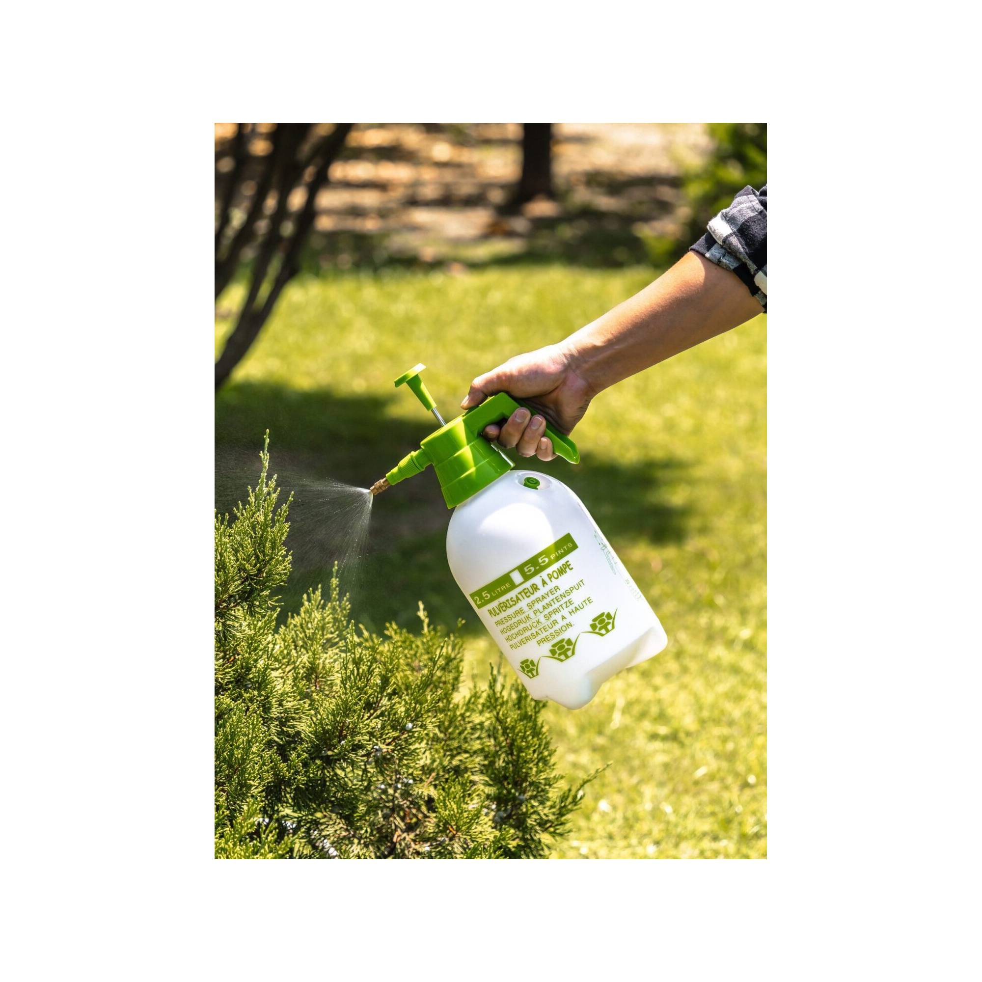 Pulvérisateur à pression - Suan - Multiusages pour le jardin et la maison - Contenance : 2500 ml - Imagen 2