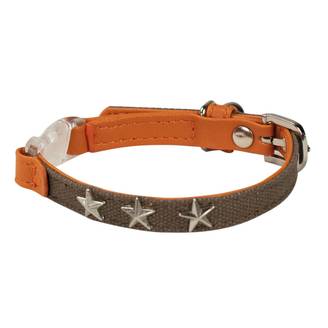 Collier chat Star is Born : Kaki DOOGY FASHION