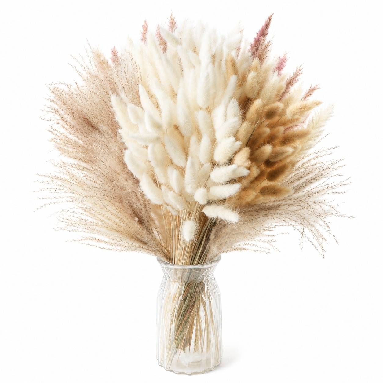 185 Pièces Bouquet Fleurs Séchées Pampas Décoration Boho pour Mariage Salon Chambre - Image 1