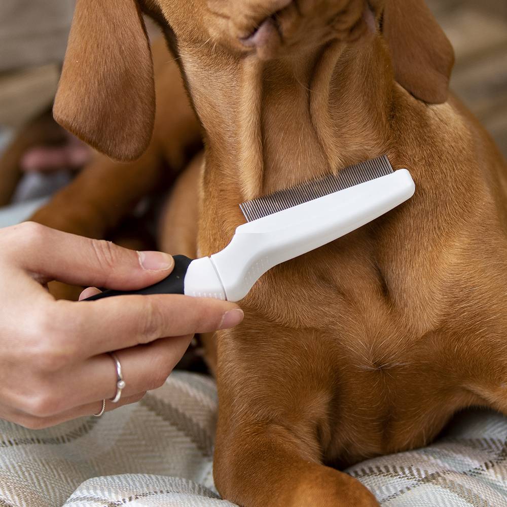 Ferplast - Peigne à Puces GRO 5753 PREMIUM pour Chiens et Chats à Poils Courts et Moyens, Ergonomique - Imagen 3