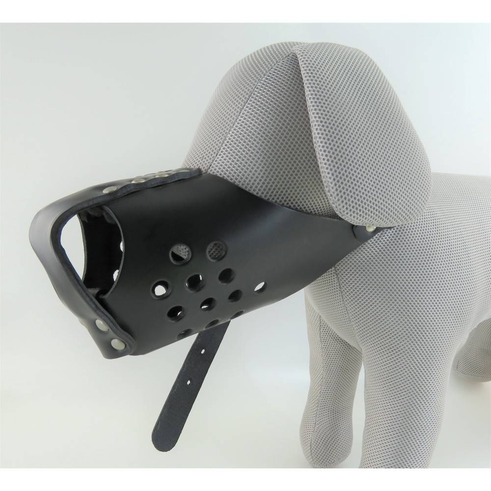 Zolux - Muselière de frappe taille II couleur noir pour chien - Image 8