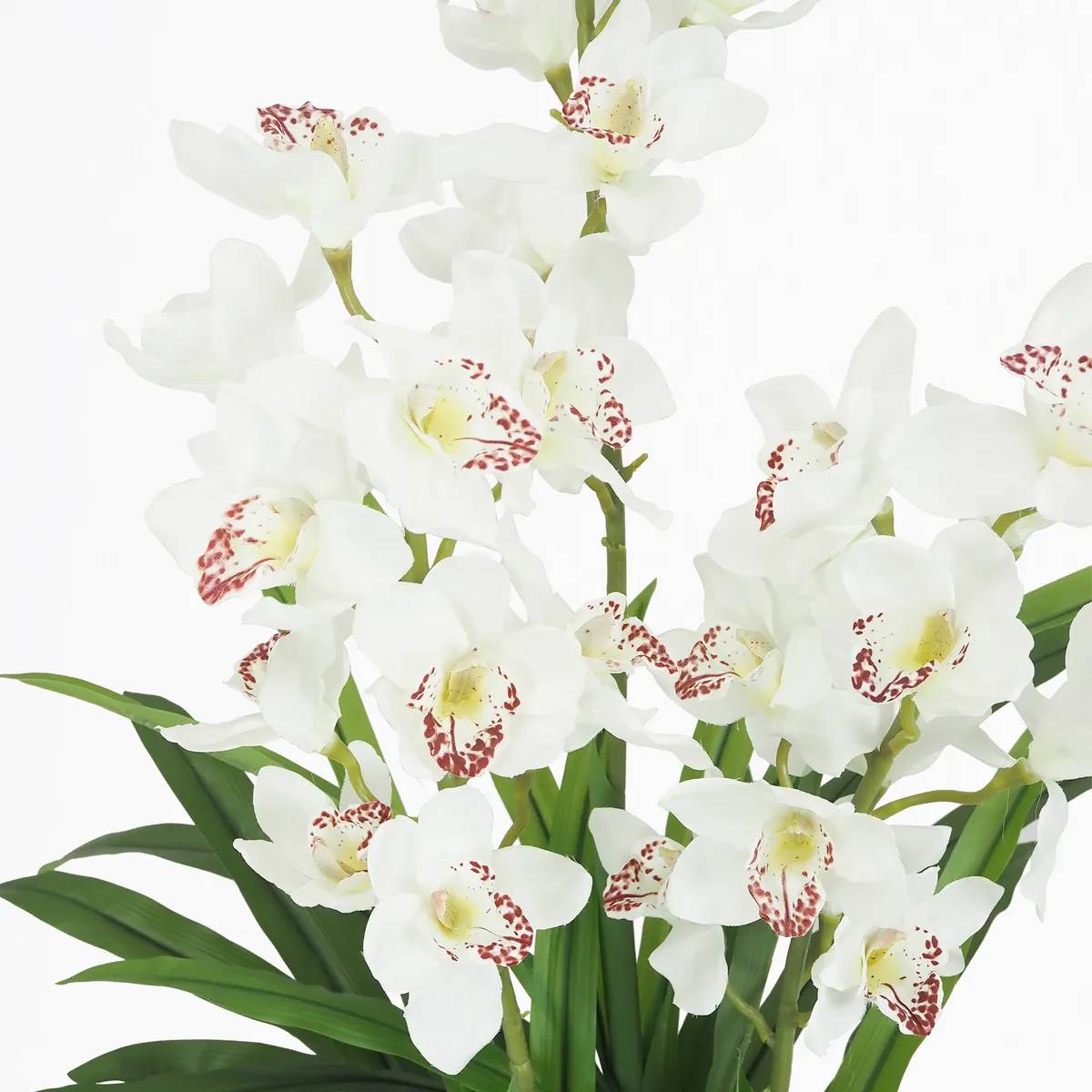 Ligne Deco - Cymbidium artificiel 155cm - Image 4
