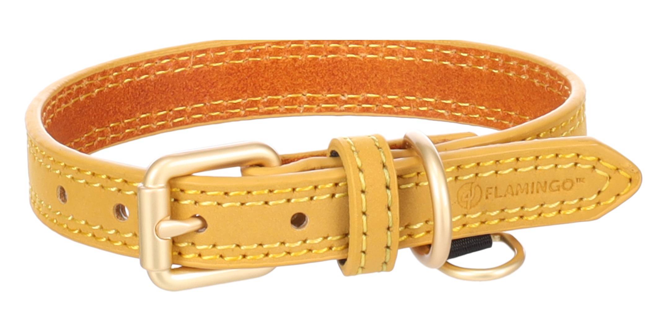 Eden - Collier pour chien Virginia en cuir L 43-53cm 25mm jaune - Image 3