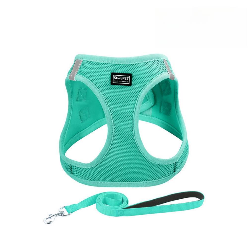 Harnais pour chats et chiens xs - IntiMeg - Image 5