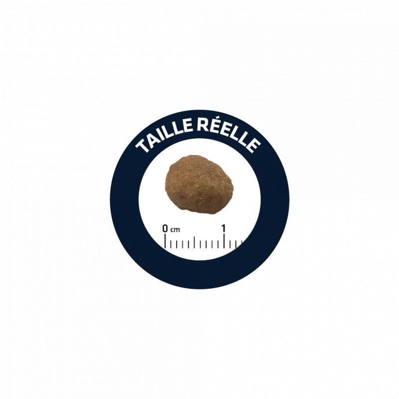 Croquettes Advance Adult Poulet et Riz pour chats Sac 3 kg - Imagen 2