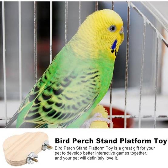DtopbuyAge - Perchoir en Bois Pour Cage d'Oiseaux Jouet - Image 3