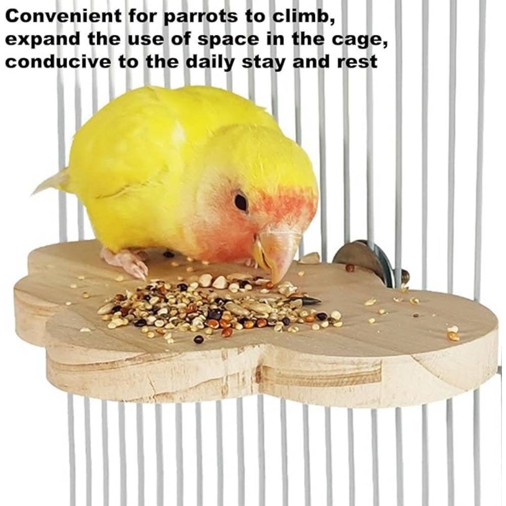 DtopbuyAge - Perchoir en Bois Pour Cage d'Oiseaux Jouet - Image 5