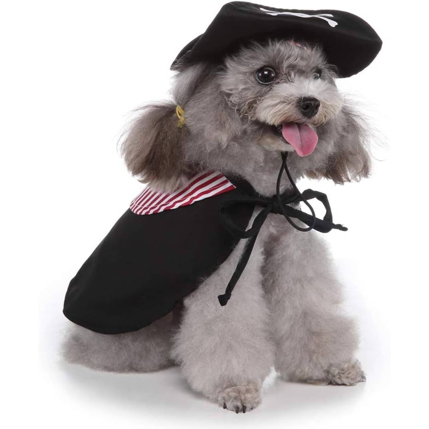 DtopbuyAge - Vêtement Halloween Noir pour Chien L DtopbuyAge - Image 4