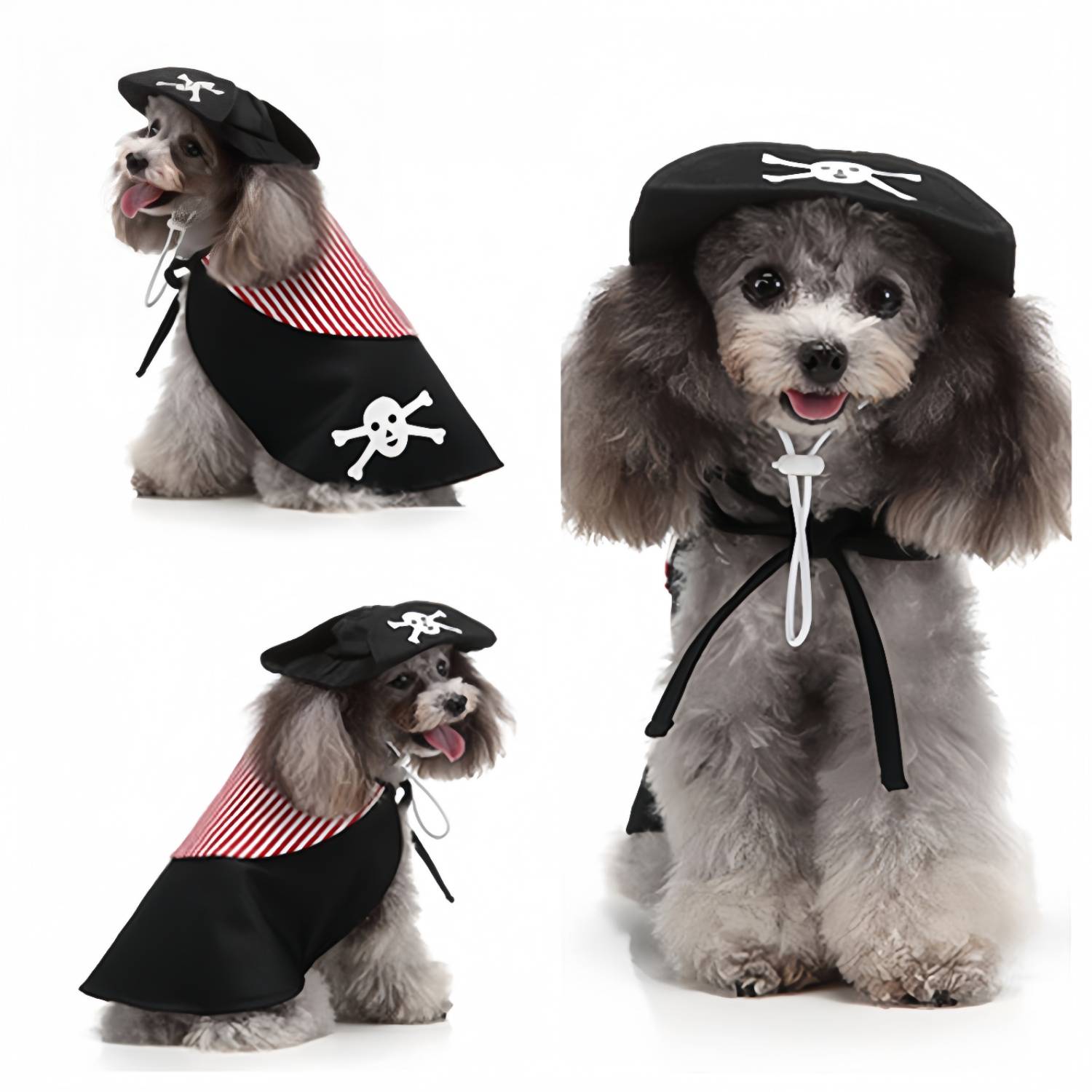 DtopbuyAge - Vêtement Halloween Noir pour Chien L DtopbuyAge - Image 1