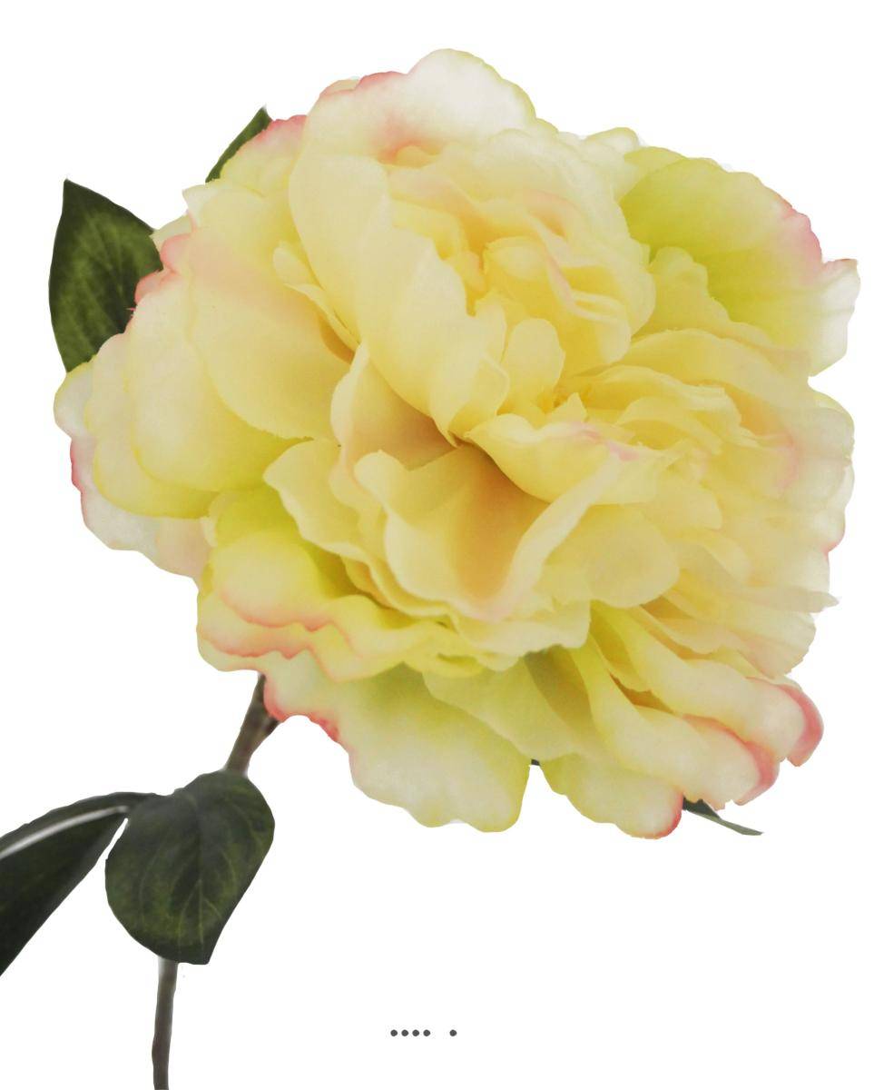 Artificielles - Pivoine artificielle crème Vert H 63 cm très belle tête - couleur: Jaune-vert - Imagen 2
