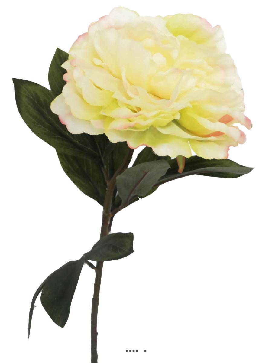 Artificielles - Pivoine artificielle crème Vert H 63 cm très belle tête - couleur: Jaune-vert - Imagen 1