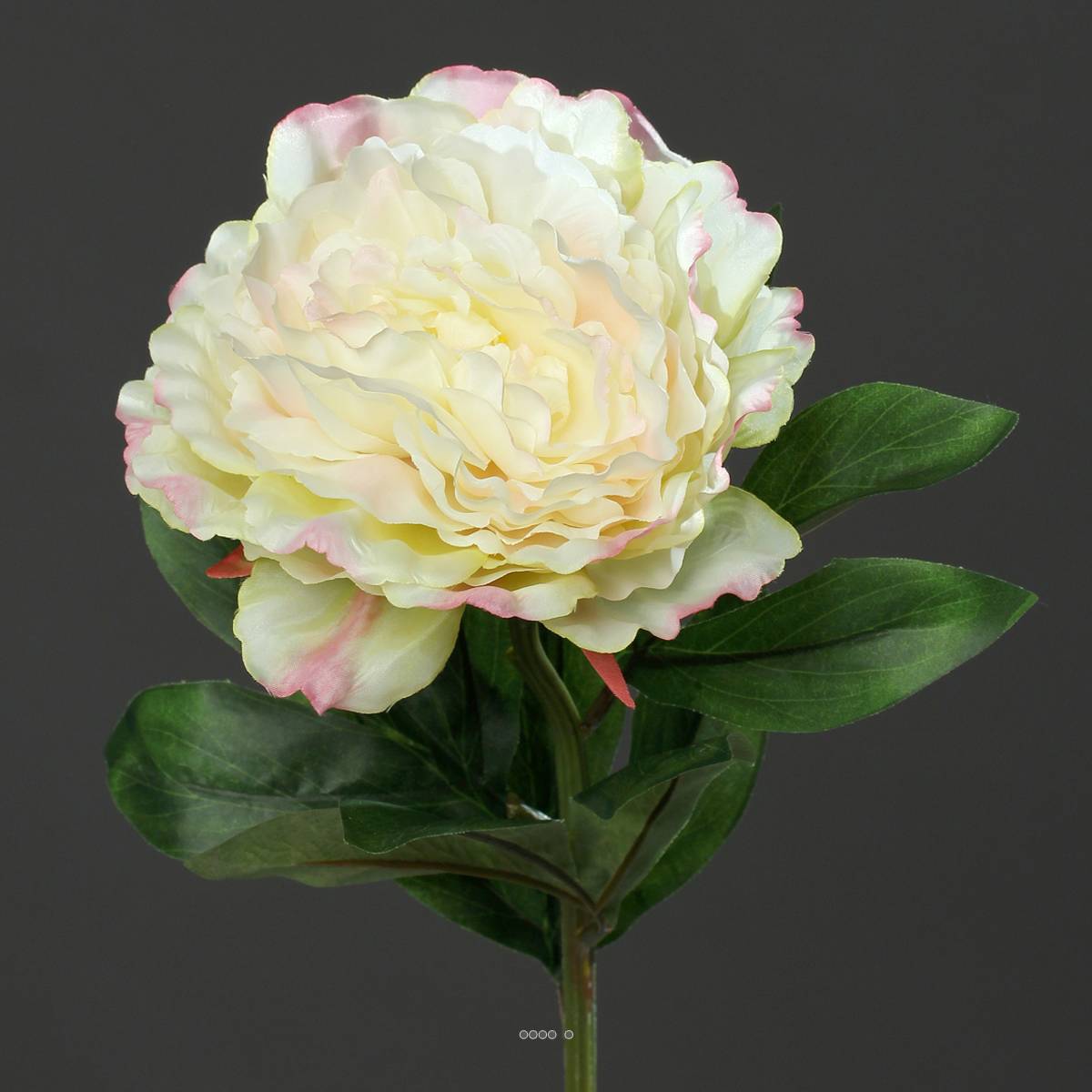 Artificielles - Pivoine artificielle crème Vert H 63 cm très belle tête - couleur: Jaune-vert - Imagen 3