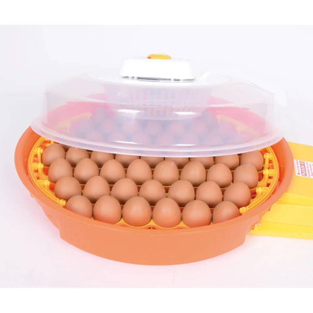 Autre - Couveuse automatique DUCAT 51 oeufs Puisor IO-014 - Image 3