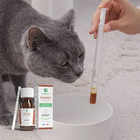 Complément alimentaire vétérinaire - Transit (digestion) chat 50 mL - VetyVert - Image 2