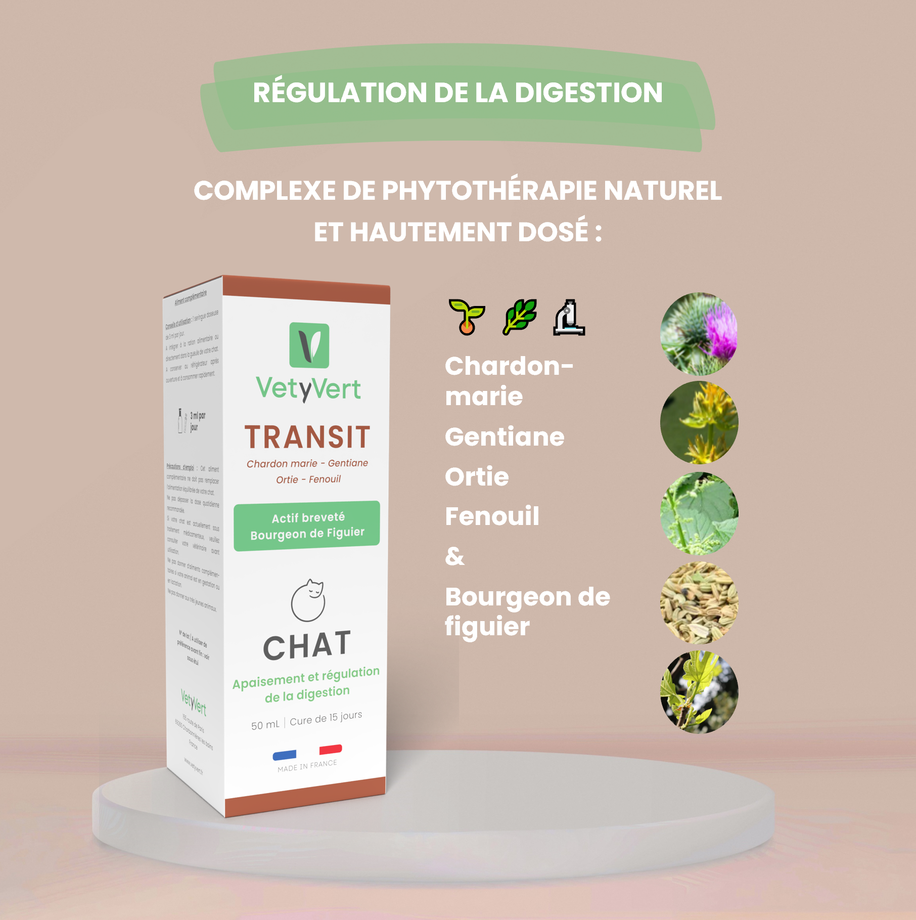Complément alimentaire vétérinaire - Transit (digestion) chat 50 mL - VetyVert - Image 3