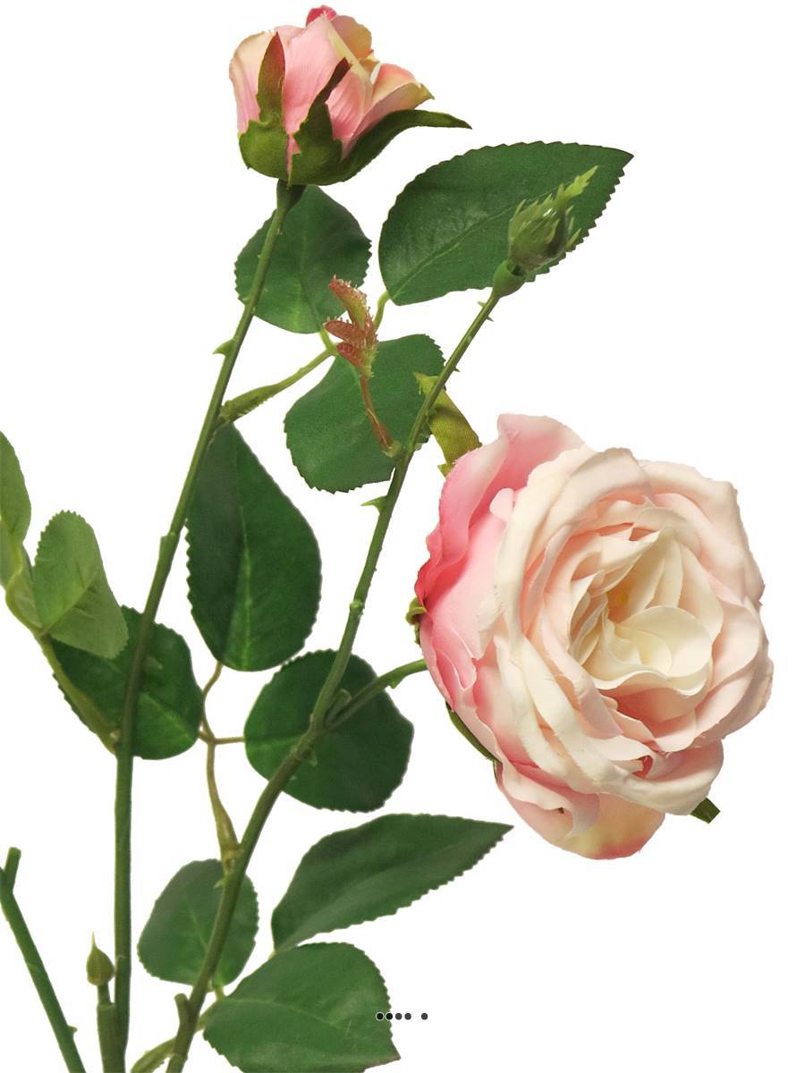Artificielles - Rose Paris artificielle, ramifiée, 3 têtes, 61 cm Rose-crème - BEST - couleur: Rose-crème - Imagen 3