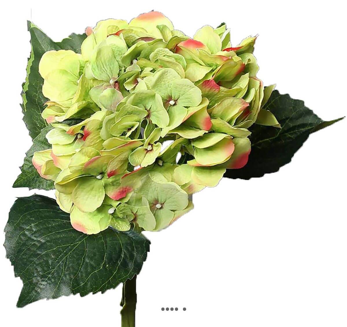 Artificielles - Hortensia artificiel en tige 1 tête 3 feuilles H 50 cm Top Vert-rose - couleur: Vert-rose - Imagen 1