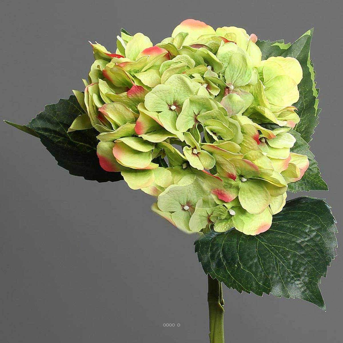 Artificielles - Hortensia artificiel en tige 1 tête 3 feuilles H 50 cm Top Vert-rose - couleur: Vert-rose - Imagen 2