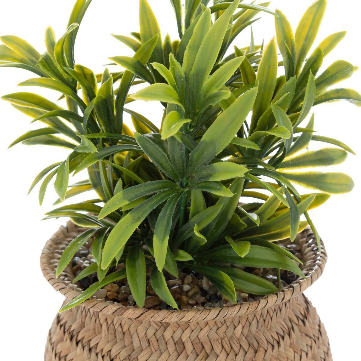 Atmosphera - Plante artificielle en pot "Jiling" en roseau H20cm - Atmosphera Créateur d'intérieur - Imagen 3