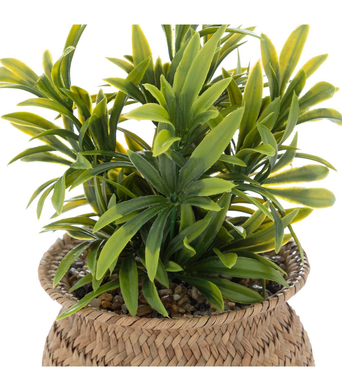 Plante artificielle pot en Roseau H 20 cm - Image 2