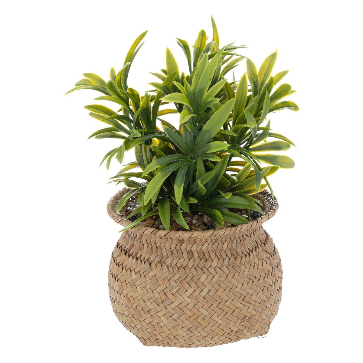 Atmosphera - Plante artificielle en pot "Jiling" en roseau H20cm - Atmosphera Créateur d'intérieur - Imagen 2