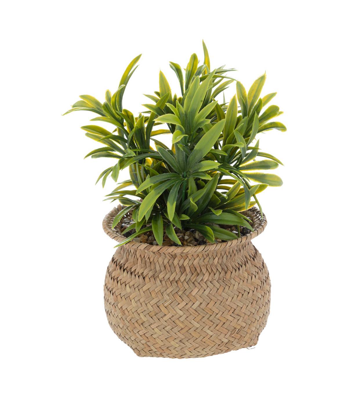 Plante artificielle pot en Roseau H 20 cm - Image 1