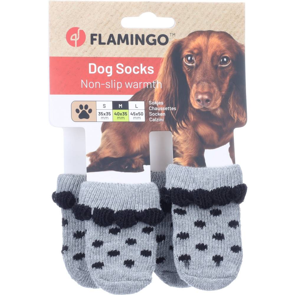 Chaussettes Asia taille M 4 pièces Grise pour chien - Image 1