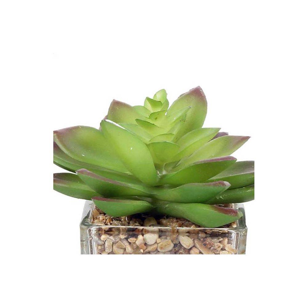 Sil - Plantes artificielles dans pot en verre 6.5 x 6.5 x 17 cm (Lot de 3) - Imagen 3