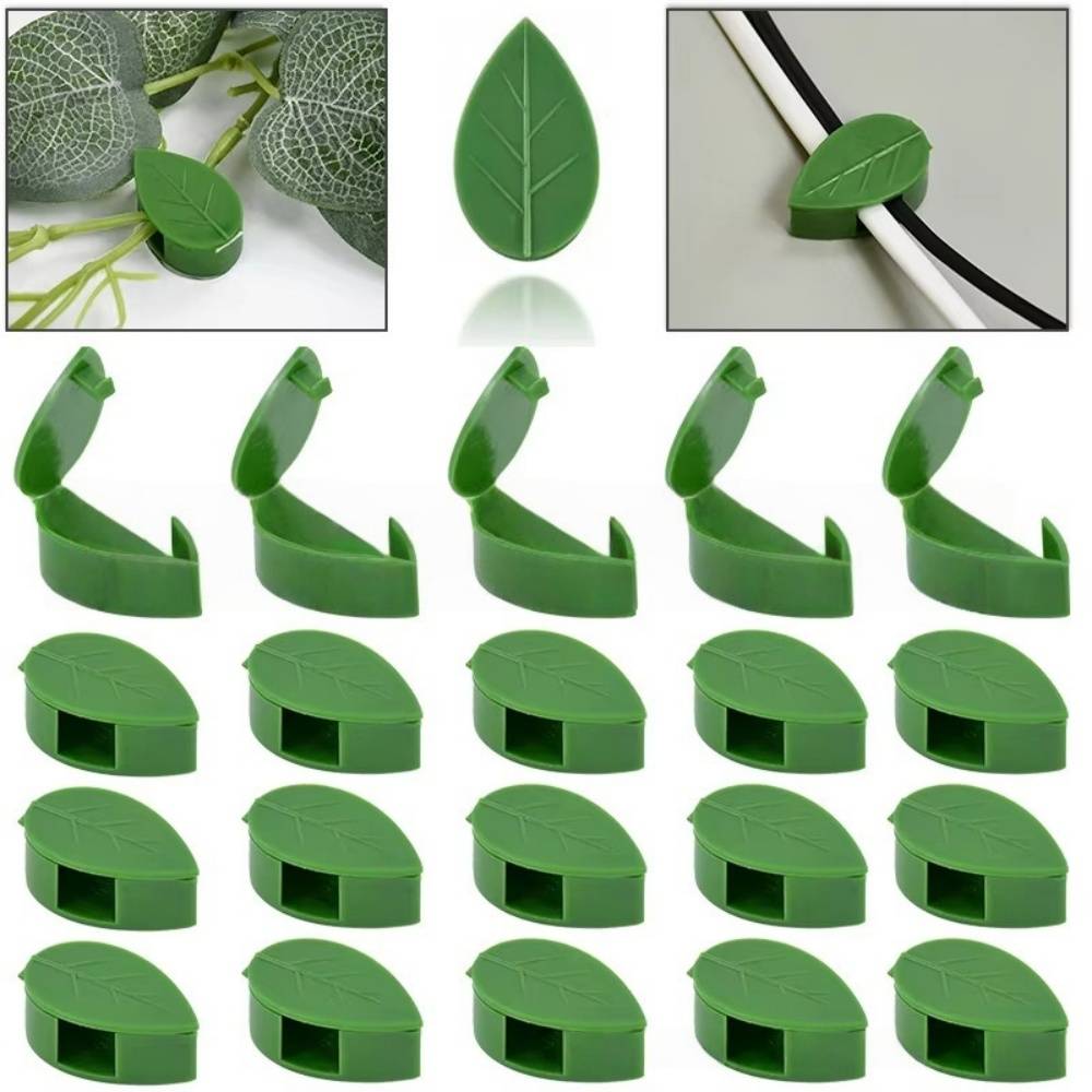 IntiMeg 50 Clips de Support pour Plantes Grimpantes - Image 3