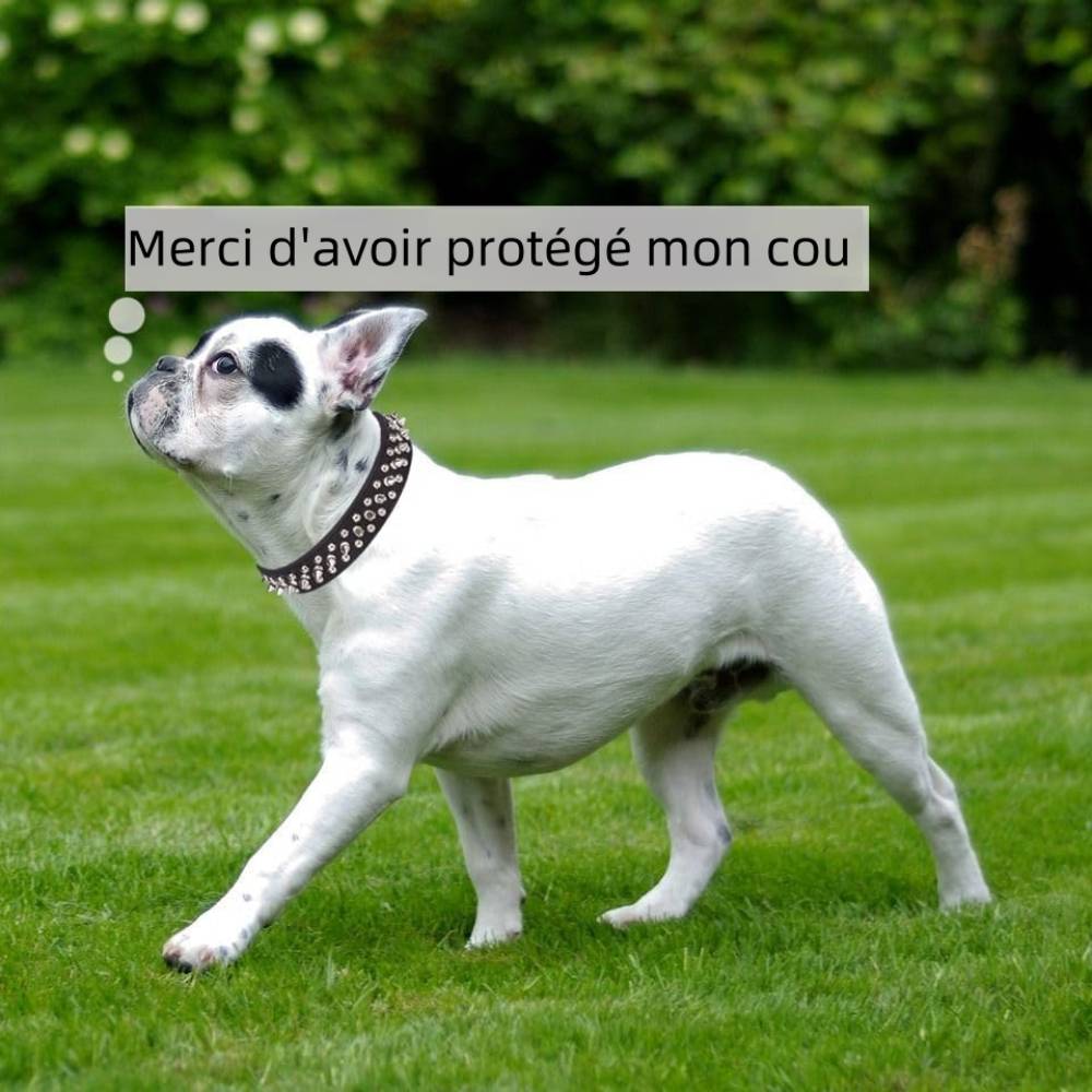 IntiMeg - Muselière en cuir pour chien m - IntiMeg - Image 4