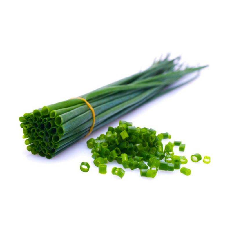 Ciboulette (Allium Schoenoprasum) - Godet - Taille 10cm - Pépinières Naudet - Image 1