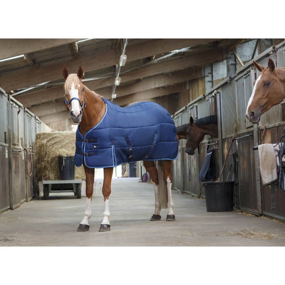 Couvertures de box : protection contre le froid