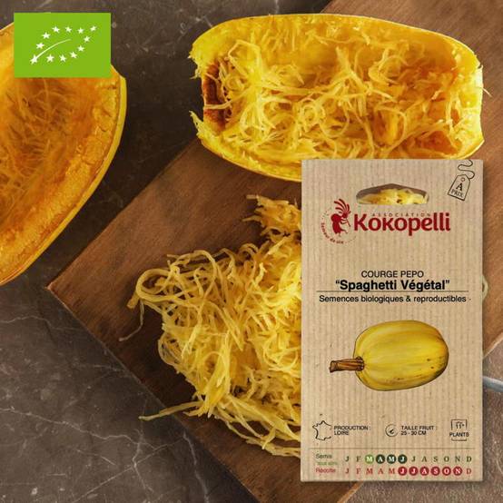 Courge Spaghetti Végétal- Graines bio à semer - Image 1